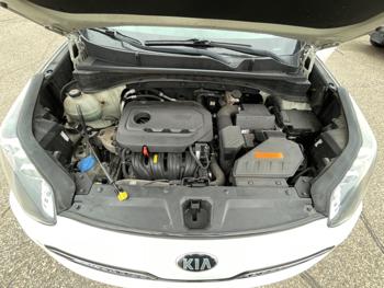 2017 kia sportage lx-awd with 117644 miles for sale near fridley, minnesota 8e89ebdf88d7454d9172942b1828d564.jpeg