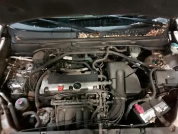 2003 honda cr-v ex-4wd-4-spd-at with 168649 miles for sale near elk-river, minnesota 8ee2616d4b4541c89c15d56d4bbdc897.jpg