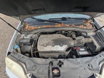 2003 acura mdx touring with 248789 miles for sale near elk-river, minnesota 910b22953b384c548929cff7bc697755.jpg