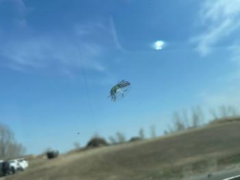 2010 ford escape limited-4wd with 77558 miles for sale near alexandria, minnesota 9412db20c81f45f5877e56795cb2b5af.jpeg