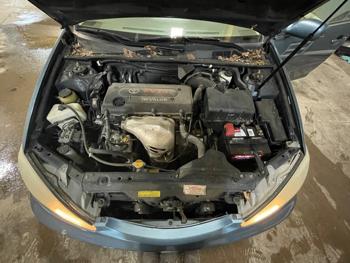 2003 toyota camry le with 180298 miles for sale near elk-river, minnesota 956cde31a9684940a07e44cbf4f03997.jpeg