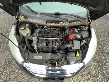 2011 ford fiesta se-sedan with 149024 miles for sale near elk-river, minnesota 970c0a772b754c5f9489009827596236.jpeg