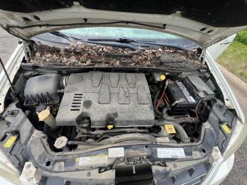2008 chrysler town-&-country limited with 223234 miles for sale near savage, minnesota 9849c0d6ed214860800cfea147dacff2.jpeg