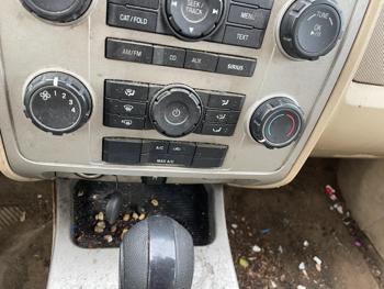 2009 ford escape xlt with 132868 miles for sale near elk-river, minnesota 9b615ea17ff74b9b9efa3a25470a64dc.jpg