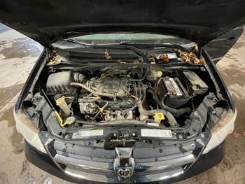 2010 dodge grand-caravan sxt with 182825 miles for sale near elk-river, minnesota 9b8c472d60374be1ad3f19ceaf846620.jpeg