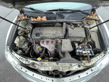 2008 toyota camry with 220493 miles for sale near elk-river, minnesota 9cb7741d5dcd41b1abb03c5bba94c77f.jpg