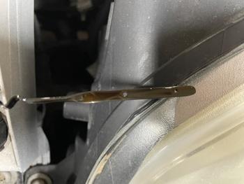 2012 ford focus sel with 183967 miles for sale near elk-river, minnesota 9f9603437da447d6854b440d0dac06bf.jpeg