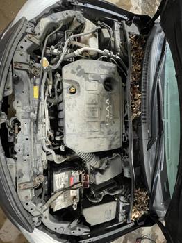 2010 toyota corolla with 131521 miles for sale near elk-river, minnesota a0e952a84a8d463291f47c0d551c1f12.jpg