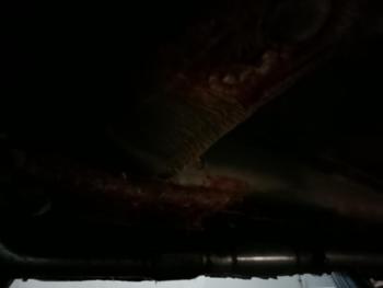 2003 subaru impreza wrx with 247746 miles for sale near elk-river, minnesota a17d2710446a46f9bf61899f41ab0194.jpg