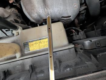 2004 toyota sienna le---7-passenger with 223147 miles for sale near elk-river, minnesota a195b61428ed4c1e8451e37c19f1e73f.jpg