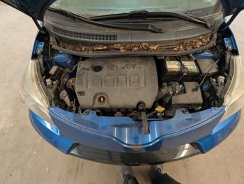 2013 scion xd 5-door-hatchback-4-spd-at with 67040 miles for sale near elk-river, minnesota a29ac34fbcf84fd4b7cbcdaa476164c2.jpg