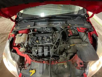 2012 ford focus sel with 192032 miles for sale near elk-river, minnesota a2f3d1f8e93e45f7bb5494763a17325e.jpg