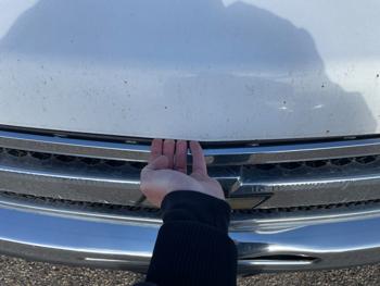 2010 chevrolet silverado-1500 lt1-crew-cab-4wd with 273658 miles for sale near fridley, minnesota a46684bb8588470087dbb7e1f7406b1d.jpeg