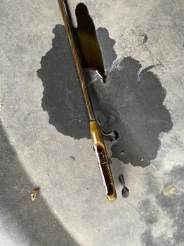 2010 honda odyssey ex-l with 207059 miles for sale near elk-river, minnesota a6106c9e1ebe4fcf9275fd1c7cdf6461.jpeg