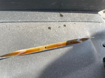 2013 ford econoline e-250 with 173163 miles for sale near jordan, minnesota a8735de6f745484a8e2acb9495bb82dc.jpeg