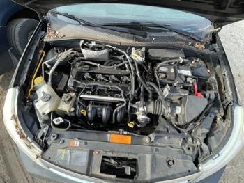 2010 ford focus sel with 186169 miles for sale near elk-river, minnesota a8e511e1e54e48678a9603344bd31e6b.jpg