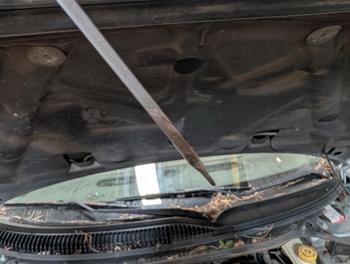 2004 chrysler 300m base with 228268 miles for sale near elk-river, minnesota a9f1d3385d7349cfbb589bffd76513e5.jpg