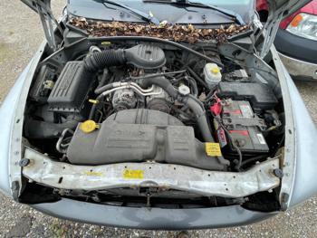 2002 dodge dakota club-cab-4wd with 118259 miles for sale near elk-river, minnesota aba1c300ec284a9eaa26dd58e7b84063.jpeg