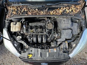 2015 ford focus se-hatch with 188633 miles for sale near elk-river, minnesota ac3b446aaa674a2f8140a7c4806671fe.jpeg