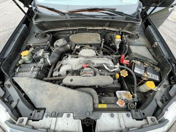 2010 subaru forester 2.5x-limited with 142758 miles for sale near elk-river, minnesota acc39322c63b4d529cb411e98b7cd1f5.jpeg
