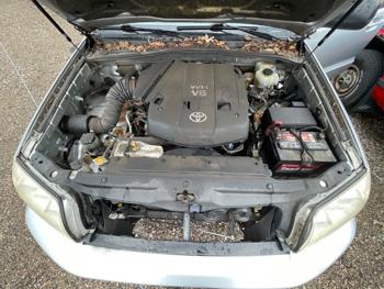 2004 toyota 4runner sr5-4wd with 157336 miles for sale near elk-river, minnesota ad1426d08efd4661b91b619ab7489ddd.jpeg