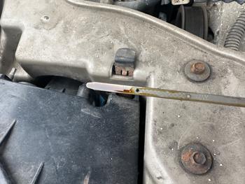 2005 ford taurus sel with 147400 miles for sale near elk-river, minnesota ae14548b13644632b3d2fa3ff005669f.jpeg