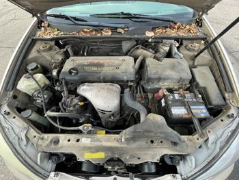 2005 toyota camry with 296470 miles for sale near elk-river, minnesota b2c4d3b8dddf49998806d62ba4f683dd.jpeg