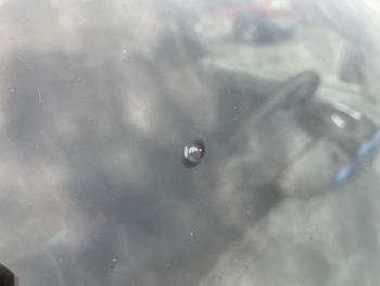 2003 chrysler pt-cruiser touring-edition with 198074 miles for sale near elk-river, minnesota b460c1c590064bada36c7d2380b9daa3.jpeg