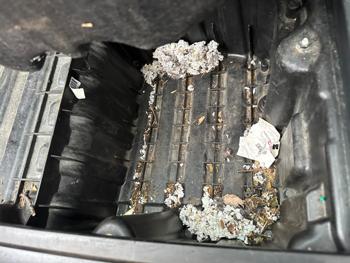 2007 bmw 3-series-sport-wagon 328xi with 164488 miles for sale near elk-river, minnesota b462e1a180024fad94f09e291bcc3e0e.jpeg