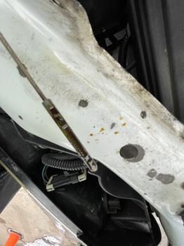 2004 gmc canyon sle with 147411 miles for sale near white-bear-lake, minnesota b490ad824c8f4c90ad0ab23b42e2864f.jpeg