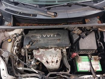2008 scion xb wagon with 191255 miles for sale near elk-river, minnesota b5af1c3ab01d4b2cbec6d237d71092d9.jpg