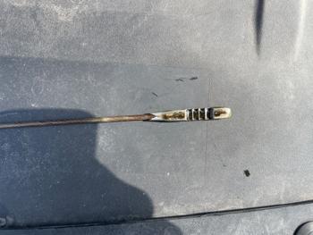 2007 chevrolet malibu ls with 136167 miles for sale near fridley, minnesota b72bbcb4f10e43c8853e90e1075532e1.jpeg