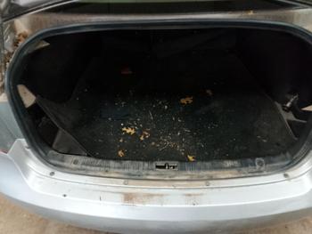 2006 hyundai sonata gls with 235108 miles for sale near elk-river, minnesota b72d78d841cf431b85afab41d3964e53.jpg