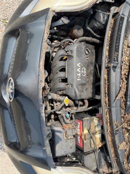2009 toyota yaris liftback-3-door-at with 150586 miles for sale near elk-river, minnesota baf39f1238714a9f939bf67546753fc7.jpeg