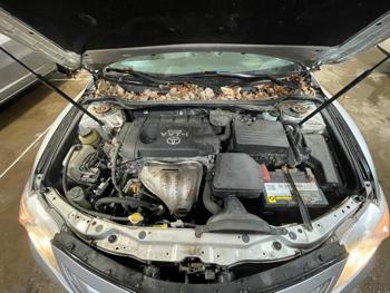 2010 toyota camry with 91072 miles for sale near elk-river, minnesota bb4c052b72e14945837860f14863aac4.jpg