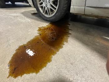 2009 ford focus se-sedan with 198044 miles for sale near elk-river, minnesota bcb04be181d4457a9436df565489c95f.jpeg