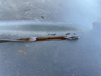 2015 chevrolet silverado-1500 lt-crew-cab-4wd with 273116 miles for sale near fridley, minnesota bf0fd4d6901e4f33806b3e34e981a272.jpeg