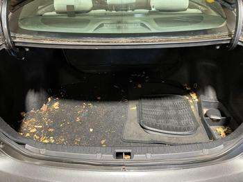 2009 toyota corolla le with 123409 miles for sale near elk-river, minnesota c133a8a95dea4af89d9188beea7e8452.jpg