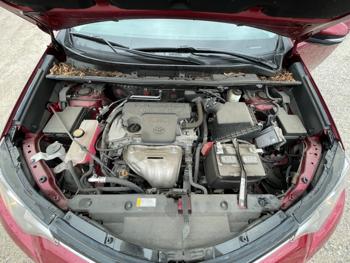 2018 toyota rav4 xle-awd with 22940 miles for sale near elk-river, minnesota c22022872c354e31a842f3a7fa811bad.jpeg