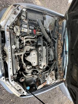 1998 honda accord lx-sedan with 171923 miles for sale near elk-river, minnesota c3383755539b482e8d33e984d71bc51a.jpeg