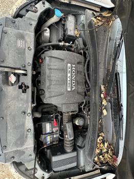 2007 honda pilot ex-4wd with 173489 miles for sale near elk-river, minnesota c5a8ea5ba074445f8039112c8fe837dc.jpeg