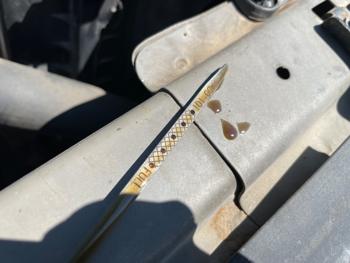 2001 buick park-avenue with 172418 miles for sale near columbus, minnesota c8a3233a2e67426a94fe7bdfac58c172.jpeg