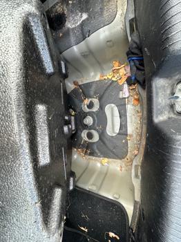 2013 hyundai elantra limited with 143526 miles for sale near elk-river, minnesota c8f3f9e9e75e42c8887897e556349237.jpeg