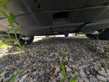 2009 honda cr-v ex-4wd-5-speed-at with 219991 miles for sale near elk-river, minnesota c8f989c229a34741b3ab0ac016c22e1d.jpg