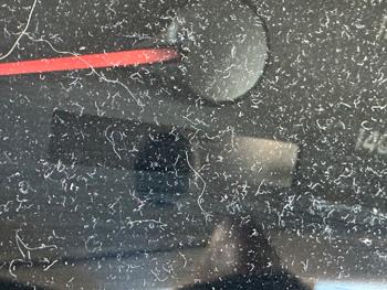 2011 toyota camry le for sale near elk-river, minnesota c96490052c2641d9944115e73545704f.jpeg