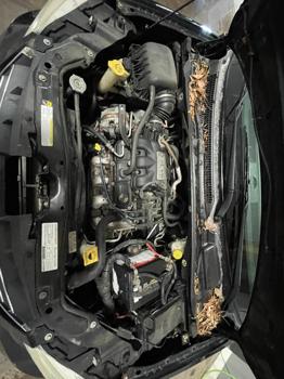 2008 chrysler town-and-country touring-signature with 172420 miles for sale near elk-river, minnesota c9830cf04a5346358c811c2d9b967541.jpg
