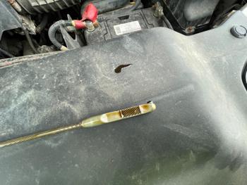 2005 honda pilot ex-w--leather with 246440 miles for sale near elk-river, minnesota c9fcb5d637c448048769ce59b993afa4.jpeg