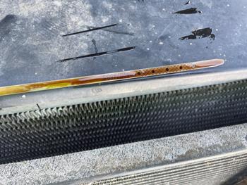 2004 gmc yukon slt with 233066 miles for sale near fridley, minnesota ca9c839356b04b01ab8c0f1a20eb05bd.jpeg