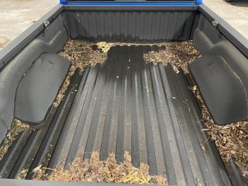 2007 Dodge Dakota