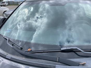 2016 hyundai veloster base-6mt with 131860 miles for sale near elk-river, minnesota cb57437d910a469a97dbd4a1b43e85b1.jpeg